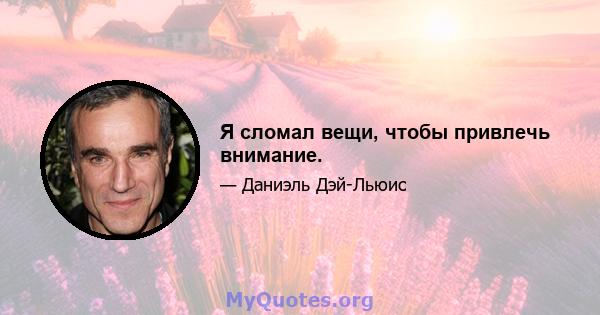 Я сломал вещи, чтобы привлечь внимание.