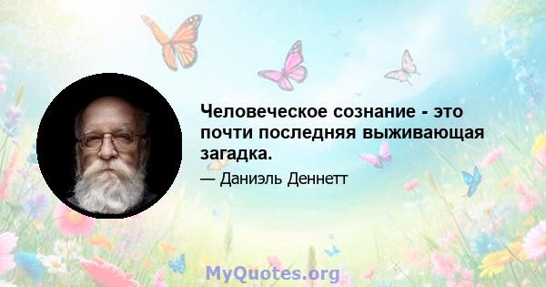 Человеческое сознание - это почти последняя выживающая загадка.