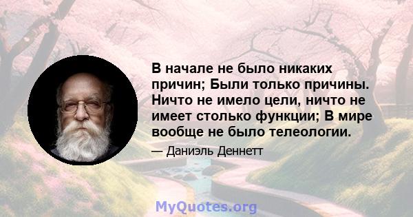 В начале не было никаких причин; Были только причины. Ничто не имело цели, ничто не имеет столько функции; В мире вообще не было телеологии.