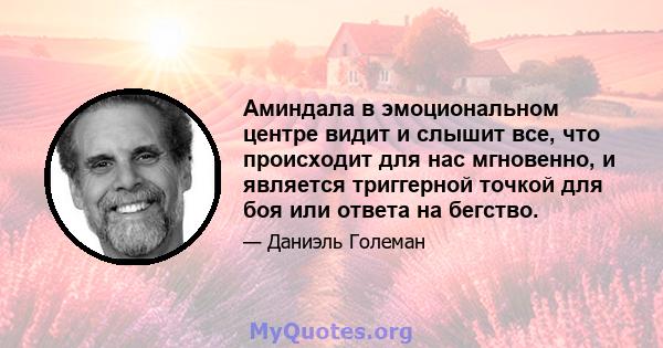 Аминдала в эмоциональном центре видит и слышит все, что происходит для нас мгновенно, и является триггерной точкой для боя или ответа на бегство.