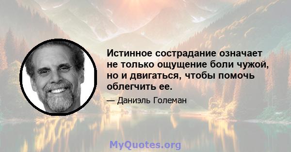 Истинное сострадание означает не только ощущение боли чужой, но и двигаться, чтобы помочь облегчить ее.