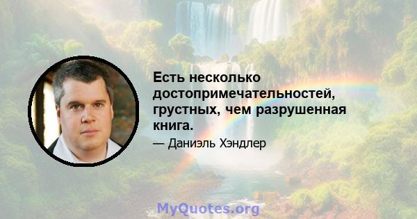 Есть несколько достопримечательностей, грустных, чем разрушенная книга.