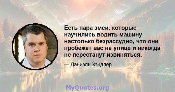 Есть пара змей, которые научились водить машину настолько безрассудно, что они пробежат вас на улице и никогда не перестанут извиняться.