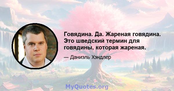 Говядина. Да. Жареная говядина. Это шведский термин для говядины, которая жареная.