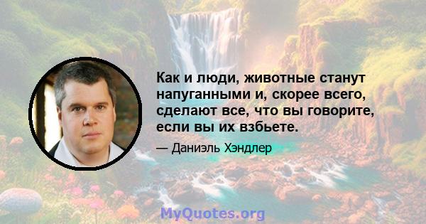 Как и люди, животные станут напуганными и, скорее всего, сделают все, что вы говорите, если вы их взбьете.