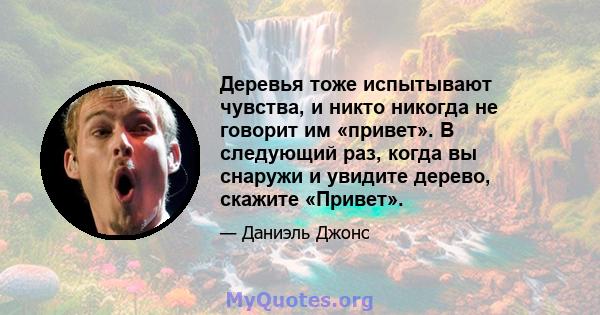 Деревья тоже испытывают чувства, и никто никогда не говорит им «привет». В следующий раз, когда вы снаружи и увидите дерево, скажите «Привет».