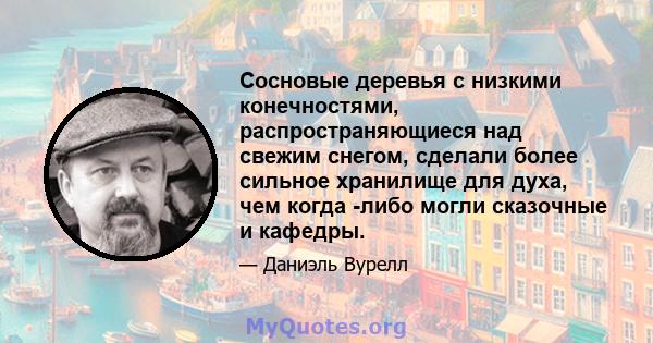 Сосновые деревья с низкими конечностями, распространяющиеся над свежим снегом, сделали более сильное хранилище для духа, чем когда -либо могли сказочные и кафедры.