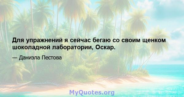 Для упражнений я сейчас бегаю со своим щенком шоколадной лаборатории, Оскар.