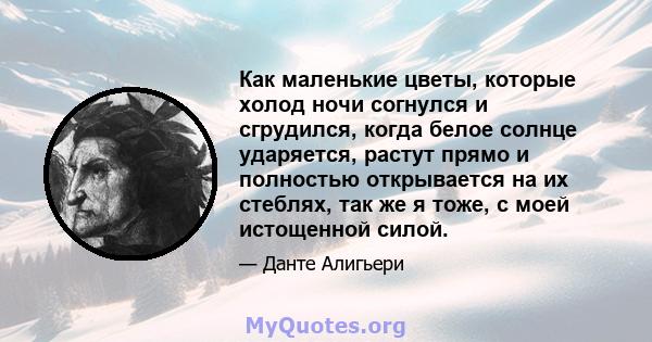 Как маленькие цветы, которые холод ночи согнулся и сгрудился, когда белое солнце ударяется, растут прямо и полностью открывается на их стеблях, так же я тоже, с моей истощенной силой.