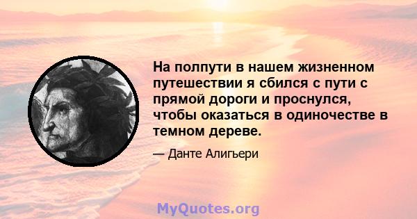 На полпути в нашем жизненном путешествии я сбился с пути с прямой дороги и проснулся, чтобы оказаться в одиночестве в темном дереве.