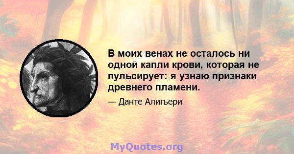 В моих венах не осталось ни одной капли крови, которая не пульсирует: я узнаю признаки древнего пламени.