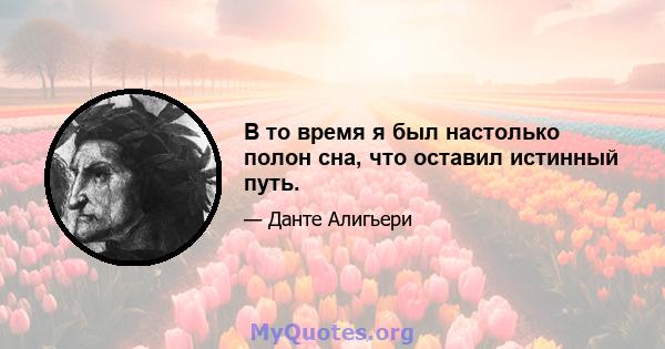 В то время я был настолько полон сна, что оставил истинный путь.