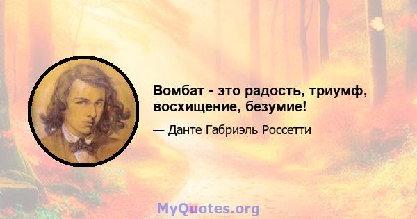 Вомбат - это радость, триумф, восхищение, безумие!