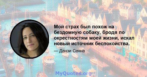 Мой страх был похож на бездомную собаку, бродя по окрестностям моей жизни, искал новый источник беспокойства.