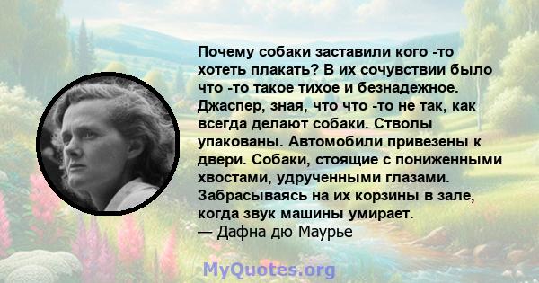 Почему собаки заставили кого -то хотеть плакать? В их сочувствии было что -то такое тихое и безнадежное. Джаспер, зная, что что -то не так, как всегда делают собаки. Стволы упакованы. Автомобили привезены к двери.