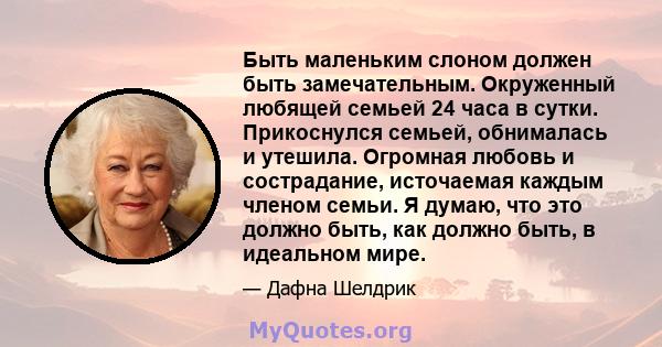 Быть маленьким слоном должен быть замечательным. Окруженный любящей семьей 24 часа в сутки. Прикоснулся семьей, обнималась и утешила. Огромная любовь и сострадание, источаемая каждым членом семьи. Я думаю, что это