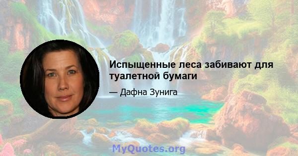 Испыщенные леса забивают для туалетной бумаги