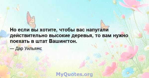 Но если вы хотите, чтобы вас напугали действительно высокие деревья, то вам нужно поехать в штат Вашингтон.