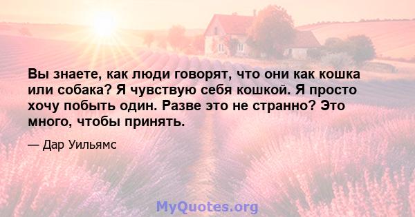 Вы знаете, как люди говорят, что они как кошка или собака? Я чувствую себя кошкой. Я просто хочу побыть один. Разве это не странно? Это много, чтобы принять.