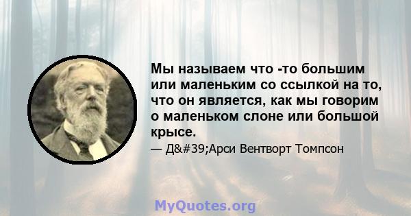 Мы называем что -то большим или маленьким со ссылкой на то, что он является, как мы говорим о маленьком слоне или большой крысе.