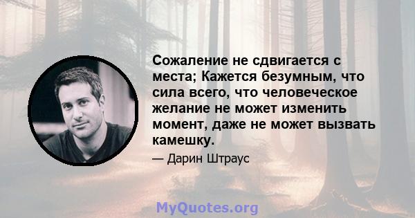 Сожаление не сдвигается с места; Кажется безумным, что сила всего, что человеческое желание не может изменить момент, даже не может вызвать камешку.