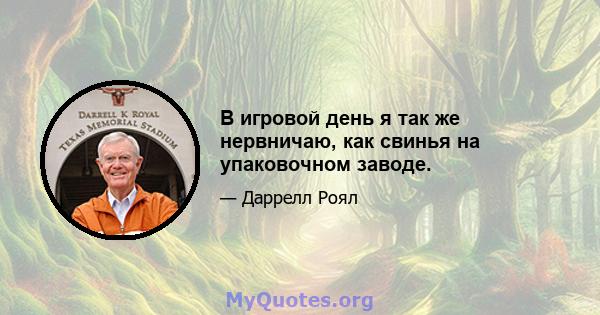 В игровой день я так же нервничаю, как свинья на упаковочном заводе.