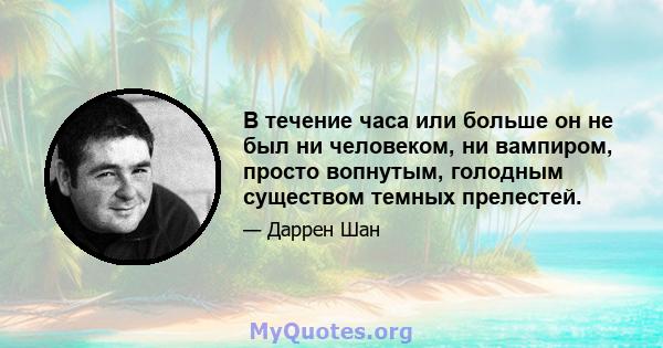 В течение часа или больше он не был ни человеком, ни вампиром, просто вопнутым, голодным существом темных прелестей.