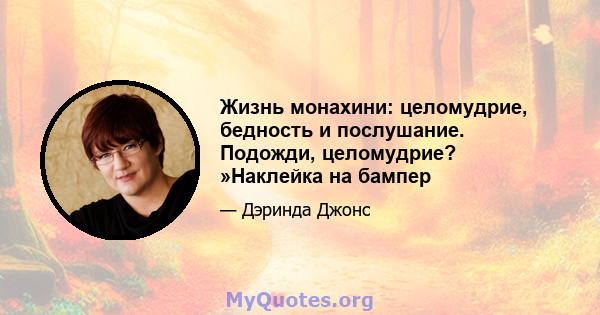 Жизнь монахини: целомудрие, бедность и послушание. Подожди, целомудрие? »Наклейка на бампер