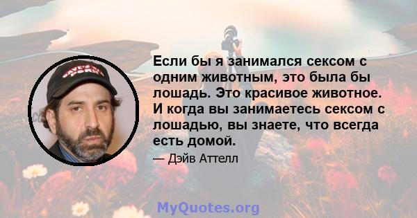 Если бы я занимался сексом с одним животным, это была бы лошадь. Это красивое животное. И когда вы занимаетесь сексом с лошадью, вы знаете, что всегда есть домой.