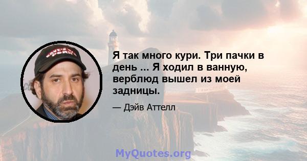 Я так много кури. Три пачки в день ... Я ходил в ванную, верблюд вышел из моей задницы.