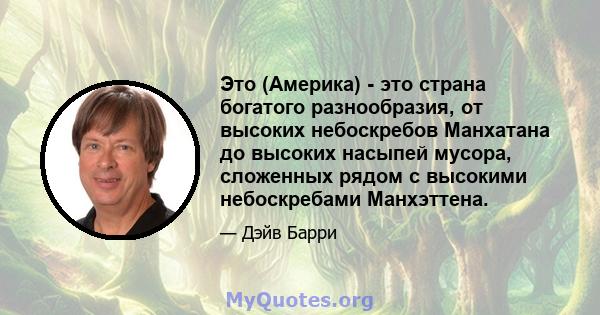 Это (Америка) - это страна богатого разнообразия, от высоких небоскребов Манхатана до высоких насыпей мусора, сложенных рядом с высокими небоскребами Манхэттена.