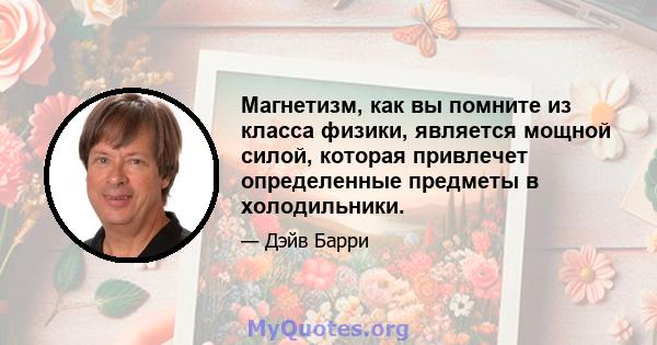 Магнетизм, как вы помните из класса физики, является мощной силой, которая привлечет определенные предметы в холодильники.