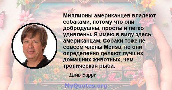 Миллионы американцев владеют собаками, потому что они добродушны, просты и легко удивлены. Я имею в виду здесь американцам. Собаки тоже не совсем члены Mensa, но они определенно делают лучших домашних животных, чем