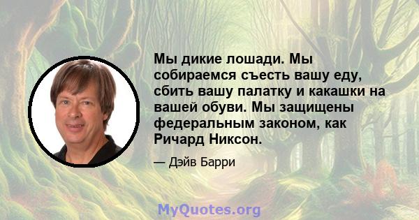 Мы дикие лошади. Мы собираемся съесть вашу еду, сбить вашу палатку и какашки на вашей обуви. Мы защищены федеральным законом, как Ричард Никсон.