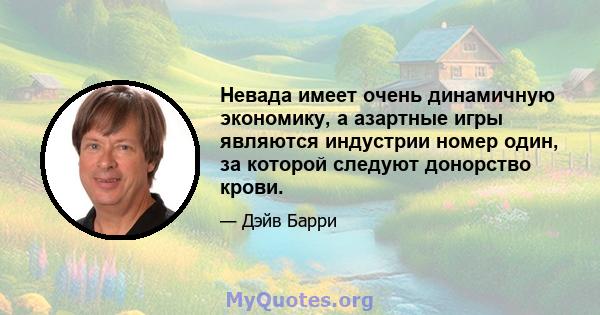 Невада имеет очень динамичную экономику, а азартные игры являются индустрии номер один, за которой следуют донорство крови.