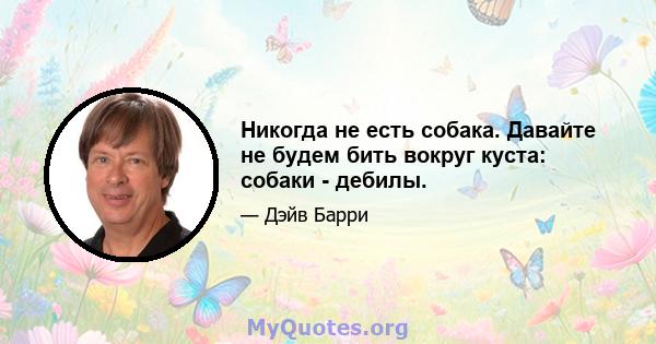 Никогда не есть собака. Давайте не будем бить вокруг куста: собаки - дебилы.