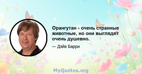 Орангутан - очень странные животные, но они выглядят очень душевно.