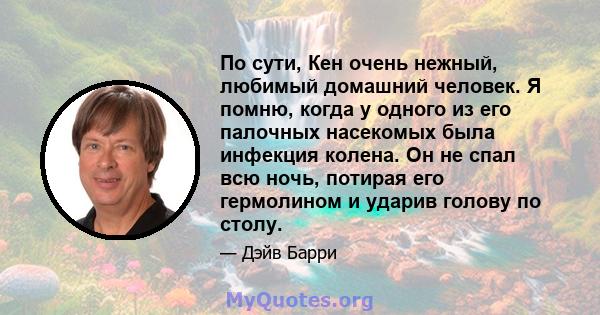 По сути, Кен очень нежный, любимый домашний человек. Я помню, когда у одного из его палочных насекомых была инфекция колена. Он не спал всю ночь, потирая его гермолином и ударив голову по столу.