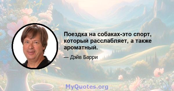 Поездка на собаках-это спорт, который расслабляет, а также ароматный.