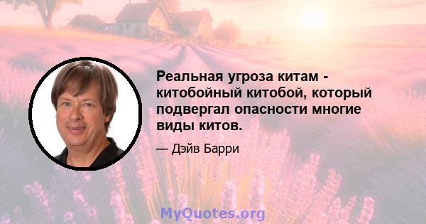 Реальная угроза китам - китобойный китобой, который подвергал опасности многие виды китов.