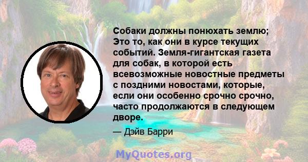 Собаки должны понюхать землю; Это то, как они в курсе текущих событий. Земля-гигантская газета для собак, в которой есть всевозможные новостные предметы с поздними новостами, которые, если они особенно срочно срочно,