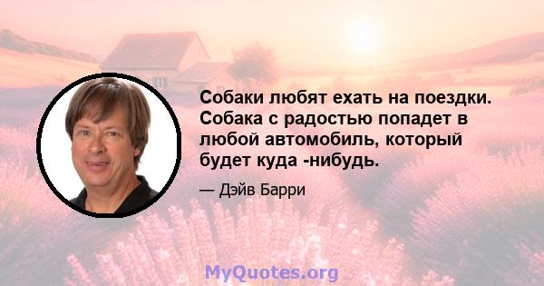 Собаки любят ехать на поездки. Собака с радостью попадет в любой автомобиль, который будет куда -нибудь.