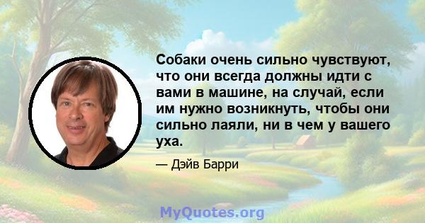 Собаки очень сильно чувствуют, что они всегда должны идти с вами в машине, на случай, если им нужно возникнуть, чтобы они сильно лаяли, ни в чем у вашего уха.