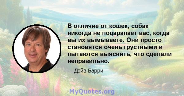 В отличие от кошек, собак никогда не поцарапает вас, когда вы их вымываете. Они просто становятся очень грустными и пытаются выяснить, что сделали неправильно.