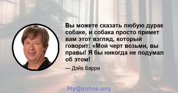 Вы можете сказать любую дурак собаке, и собака просто примет вам этот взгляд, который говорит: «Мой черт возьми, вы правы! Я бы никогда не подумал об этом!