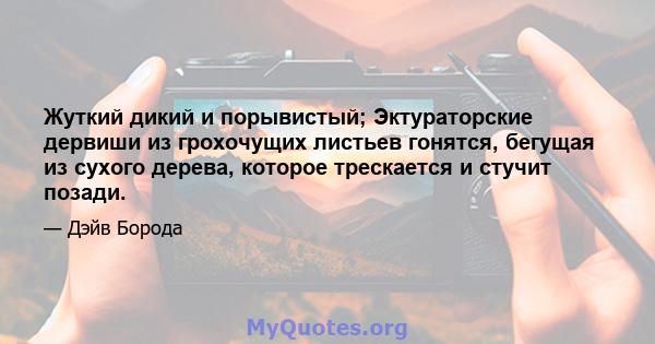 Жуткий дикий и порывистый; Эктураторские дервиши из грохочущих листьев гонятся, бегущая из сухого дерева, которое трескается и стучит позади.