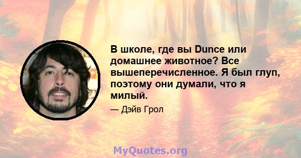 В школе, где вы Dunce или домашнее животное? Все вышеперечисленное. Я был глуп, поэтому они думали, что я милый.