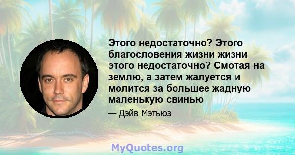 Этого недостаточно? Этого благословения жизни жизни этого недостаточно? Смотая на землю, а затем жалуется и молится за большее жадную маленькую свинью