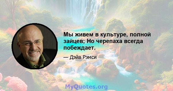 Мы живем в культуре, полной зайцев; Но черепаха всегда побеждает.