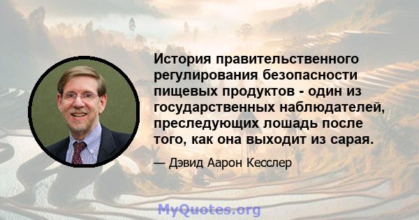 История правительственного регулирования безопасности пищевых продуктов - один из государственных наблюдателей, преследующих лошадь после того, как она выходит из сарая.